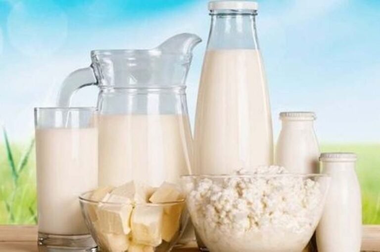 1. Milk & Dairy products